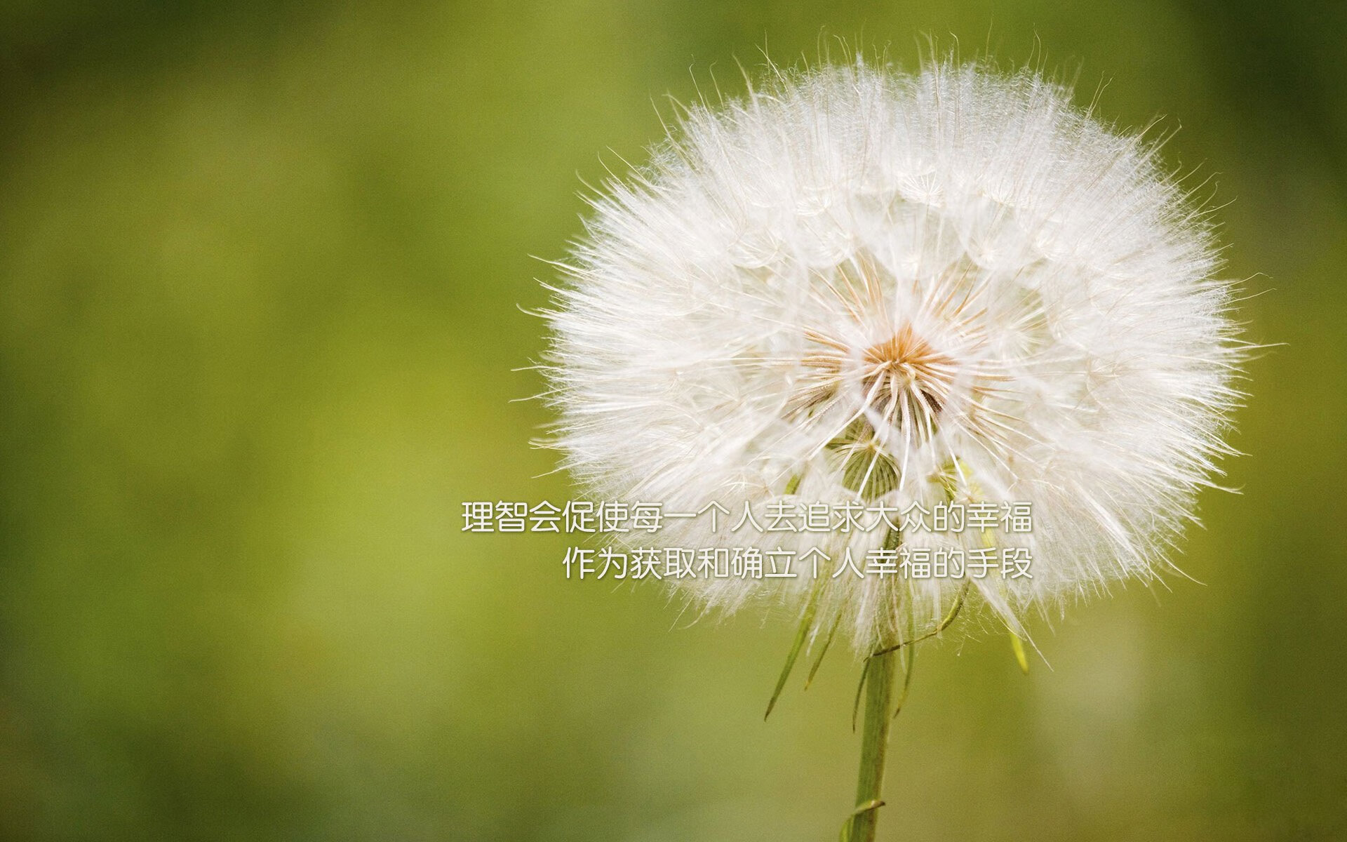 沙尘与泥泞中的王者争霸：WRC最艰难赛段全景剖析