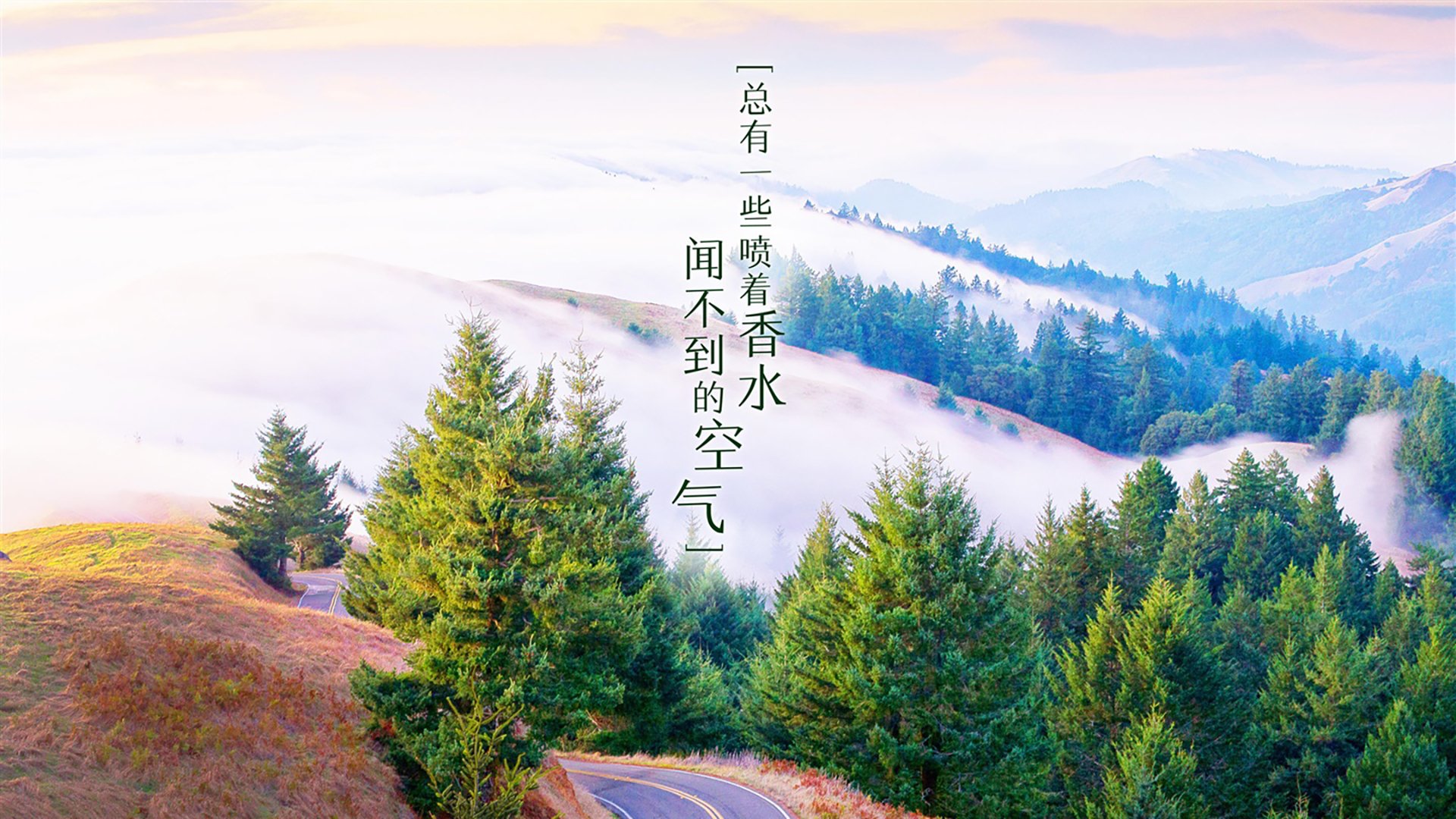 Gen.G战队跨界合作项目曝光，gen战队成员介绍
