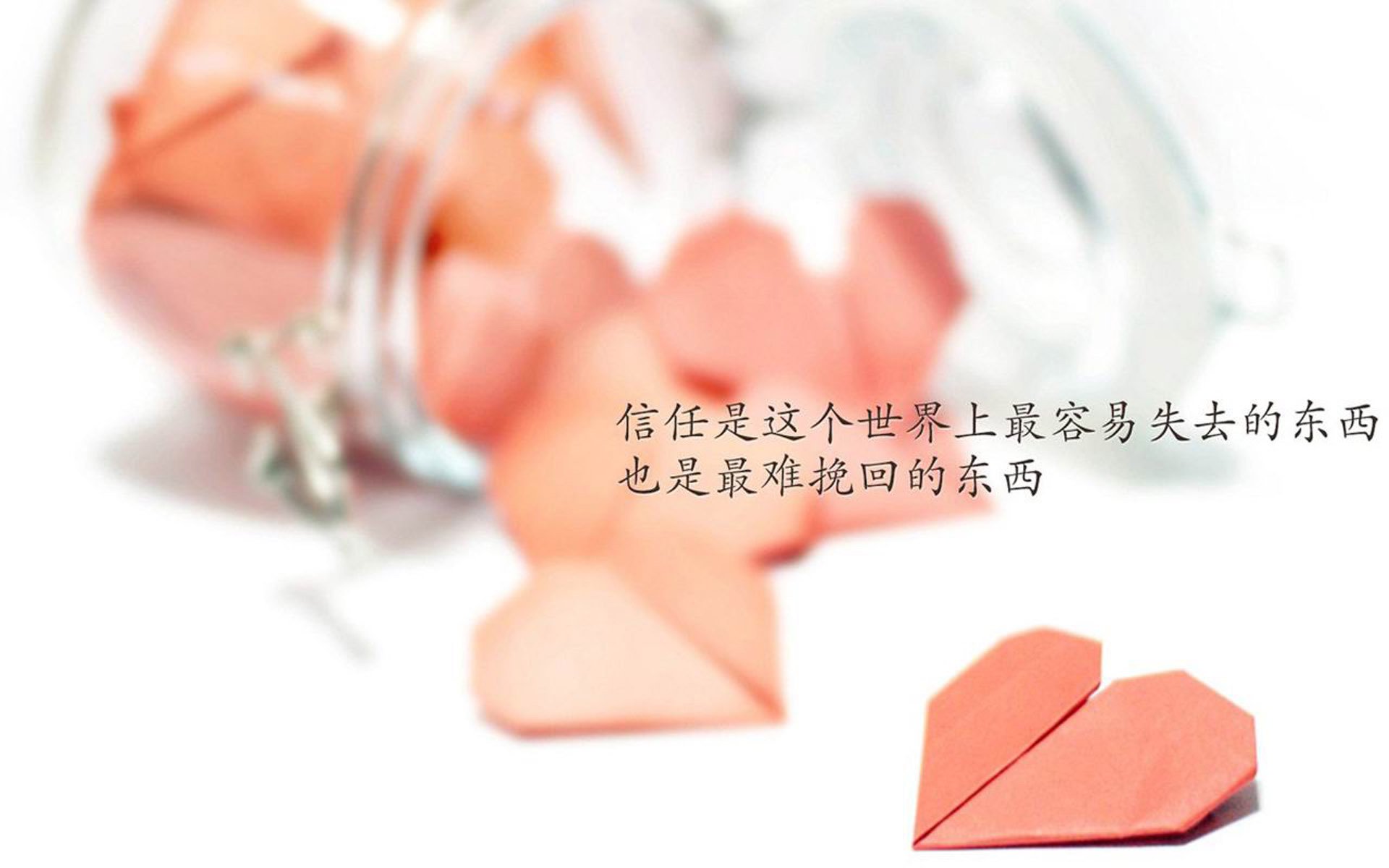 老年人瑜伽课程开设，关注老年人健康，老年人练瑜伽视频