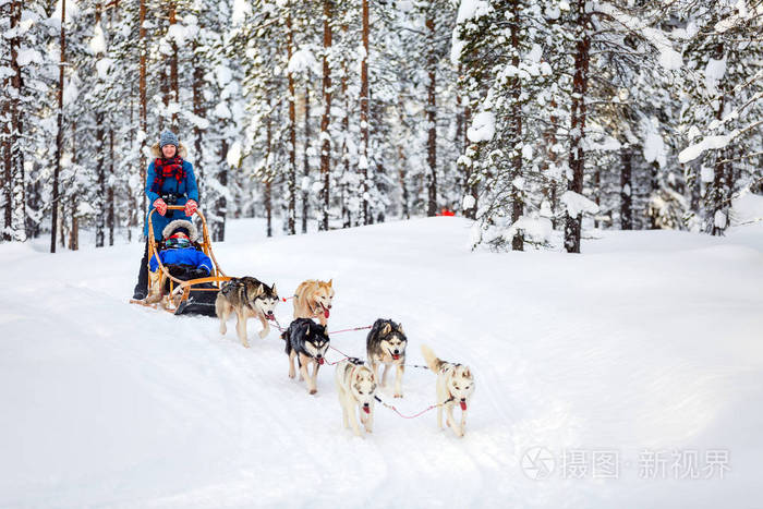 关于狗拉雪橇比赛，激情冬日运动体验的信息