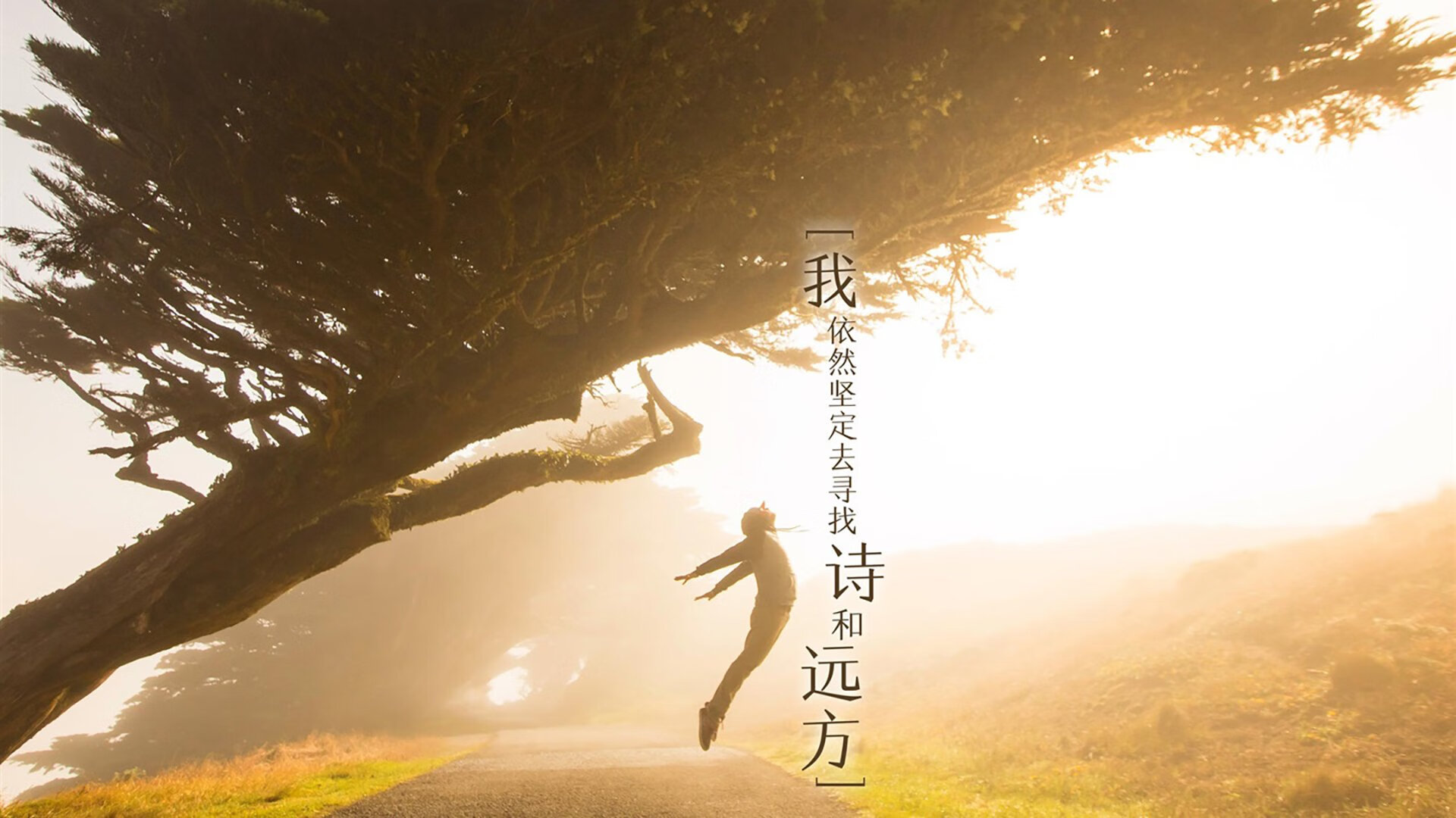 《守望先锋大赛，策略与反应的极限考验》，守望先锋大师赛