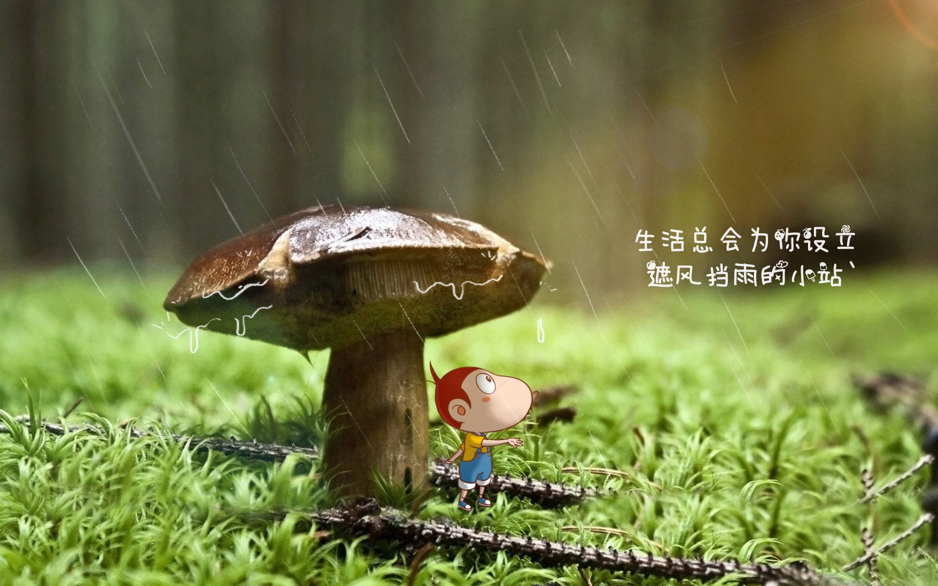 全明星赛直播抢先看，明星球员首次联袂亮相，全明星赛直播视频