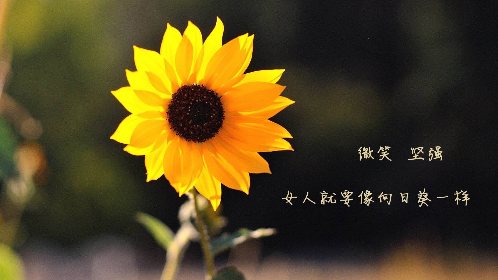 昂热防线表现出色，客场零封对手，昂热是好人吗