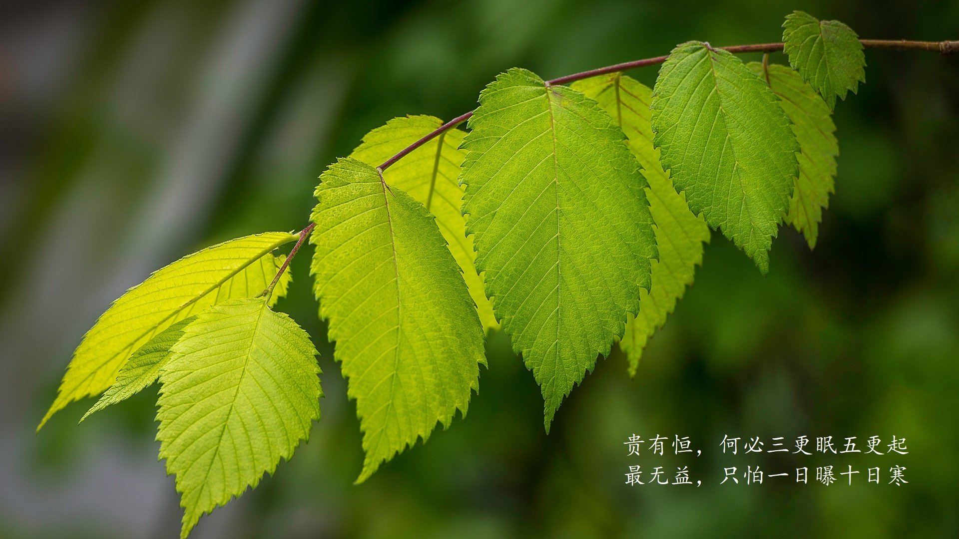 篮球训练负荷管理与比赛表现关系实证，篮球运动员运动负荷量
