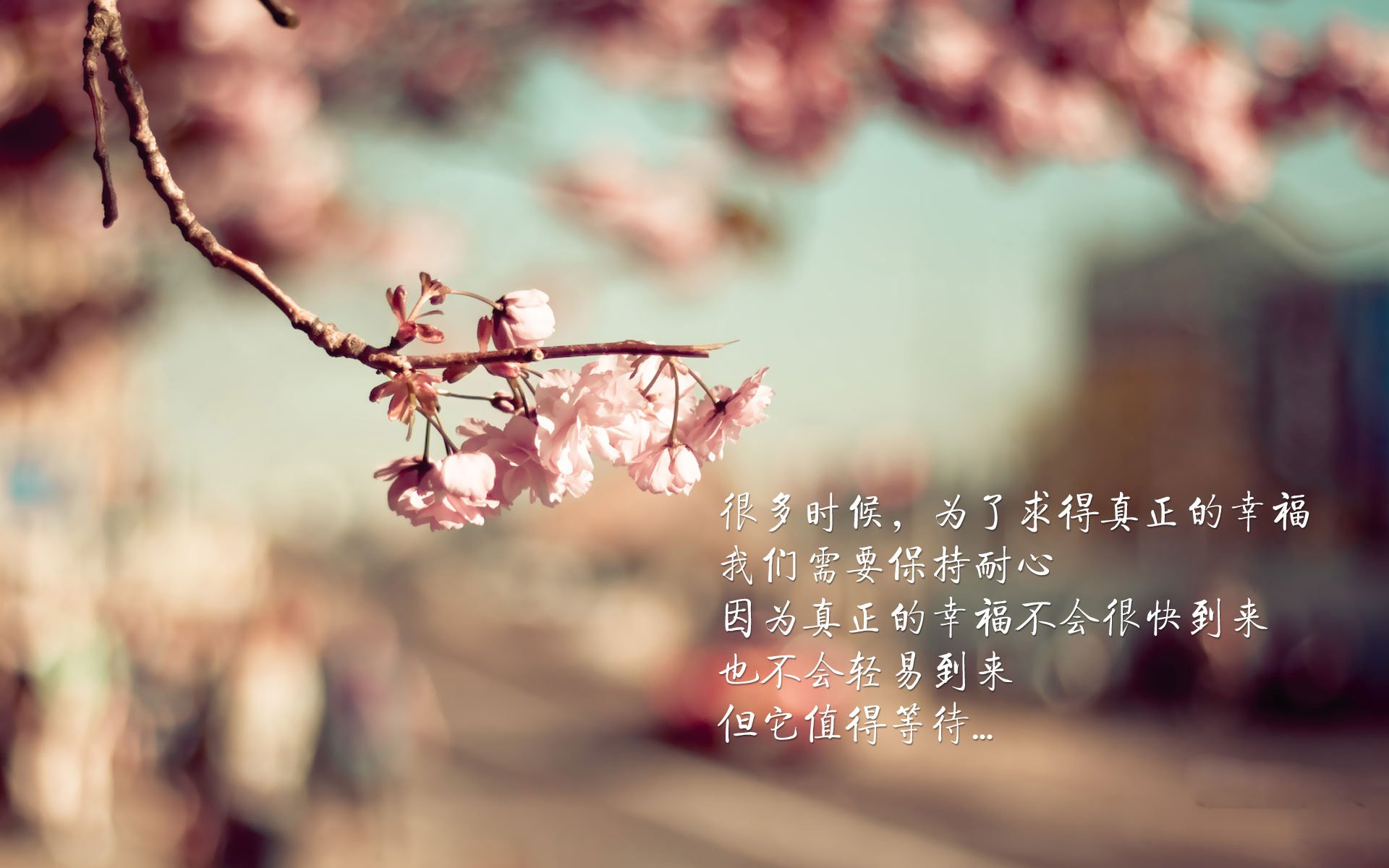 球队进攻选择是否依赖核心球员，球队的核心是哪个位置