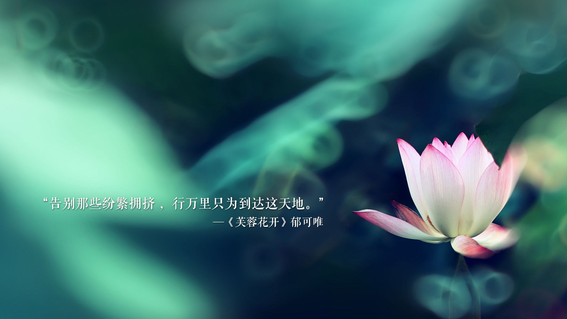 火箭小将投篮手感滚烫砍下全场最高分，火箭 篮球