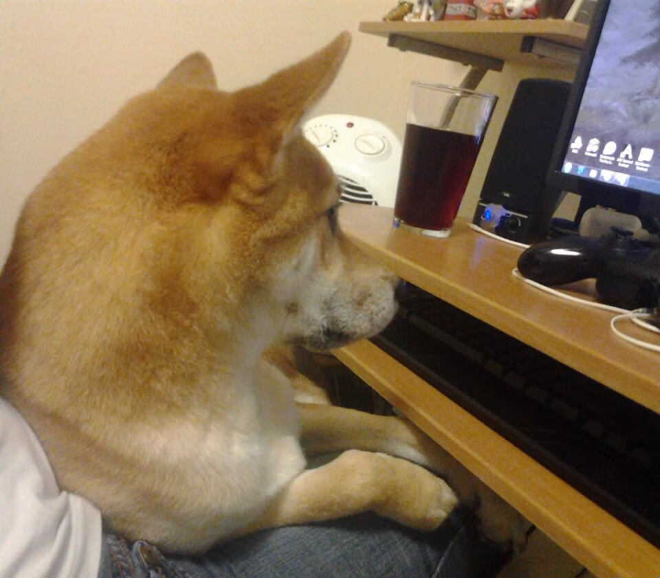 kaiyun体育综合-球队发布周计划涵盖战术学习身体恢复及团队建设内容，球队的训练计划包括哪些