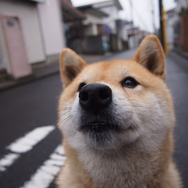 开云体育在线赛事直播-西甲绝佳爆射：精彩得分瞬间令人震撼！，西甲精选